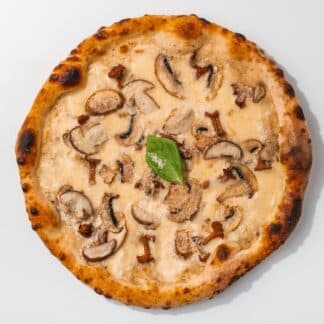 Mushroom 2.0